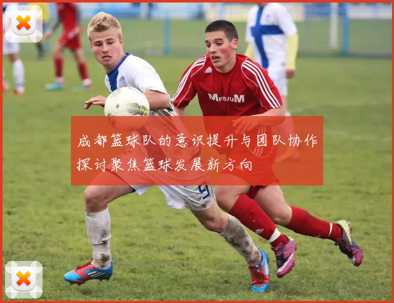 成都篮球队的意识提升与团队协作探讨聚焦篮球发展新方向
