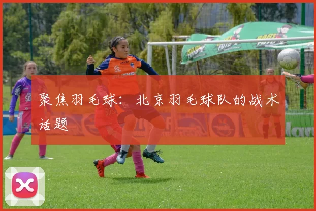 聚焦羽毛球：北京羽毛球队的战术话题