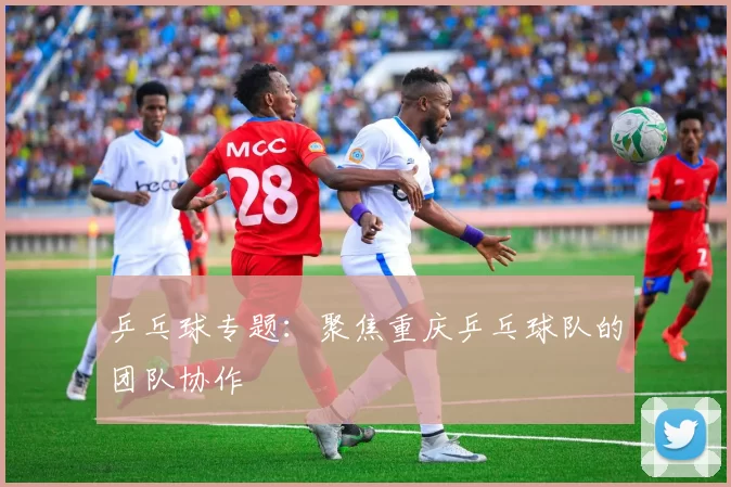 乒乓球专题：聚焦重庆乒乓球队的团队协作