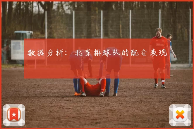 数据分析：北京排球队的配合表现