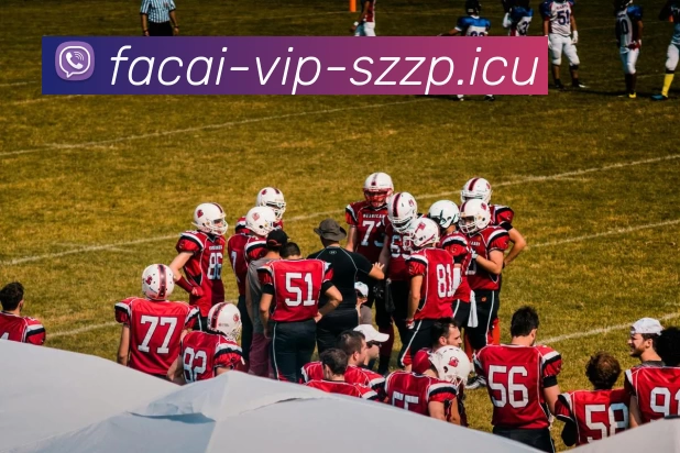 乐鱼体育平台生态图